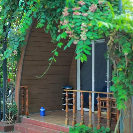 Homestay Tuyet Anh Tri Ton Extérieur photo